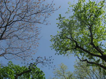 Img_1111 Img_1111