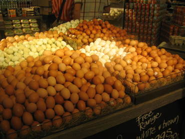 Img_1415 Img_1415