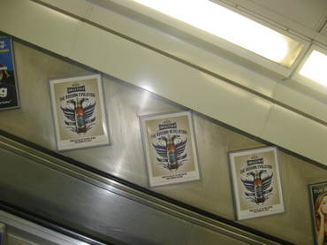 Img_2238 Img_2238