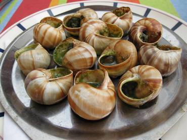Biarritz_escargot Biarritz_escargot
