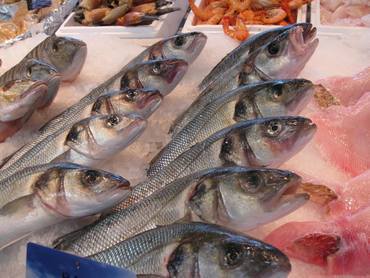 Biarritz_market_fish Biarritz_market_fish