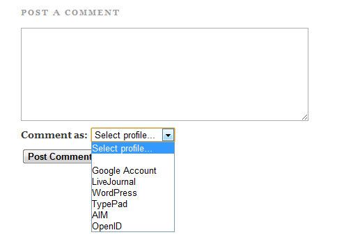 The Other Blogger Option, with No Name/URL Option The Other Blogger Option, with No Name/URL Option