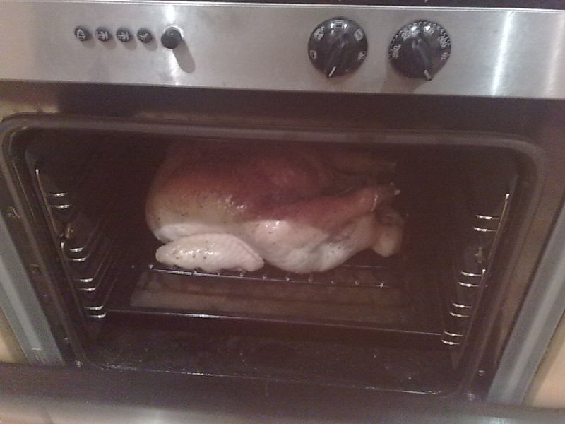 Happy Thanksgiving