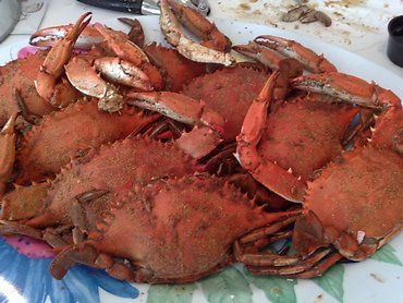 St lucie crab house