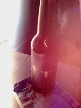 Brewdog zeitgeist