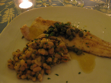 Shy chef trout