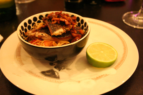 Civet cat club mackerel