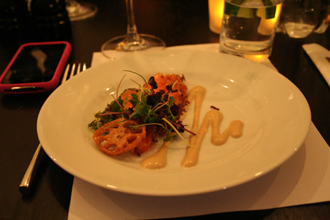 Civet cat club salmon