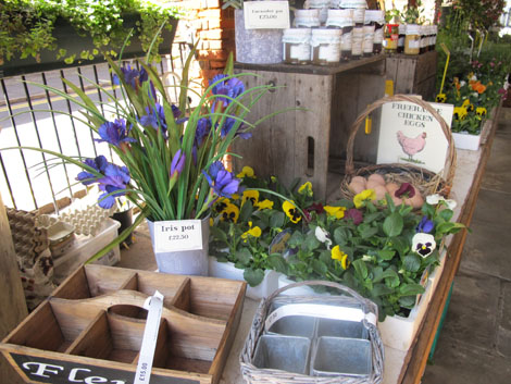 Amersham eggs