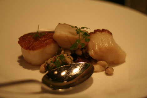 Sepia scallops