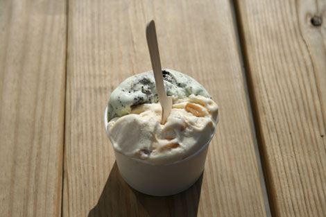 Black dog gelato gelato
