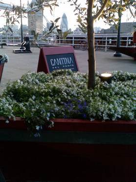 Cantina_del_ponte